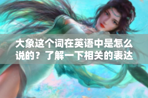 大象这个词在英语中是怎么说的？了解一下相关的表达方式。