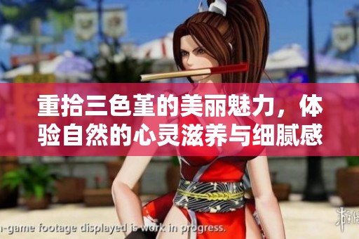 重拾三色堇的美丽魅力，体验自然的心灵滋养与细腻感受