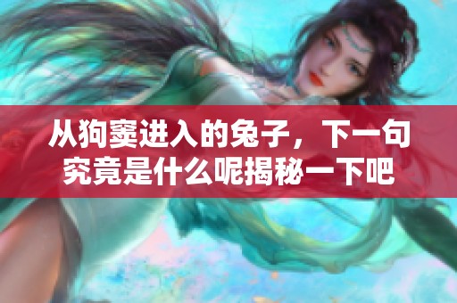 从狗窦进入的兔子，下一句究竟是什么呢揭秘一下吧