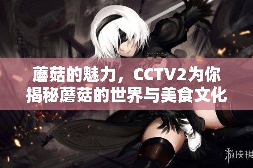 蘑菇的魅力，CCTV2为你揭秘蘑菇的世界与美食文化