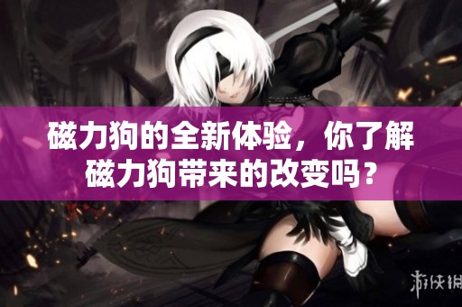 磁力狗的全新体验，你了解磁力狗带来的改变吗？