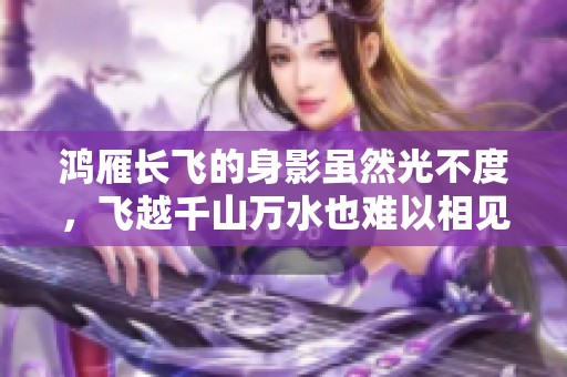 鸿雁长飞的身影虽然光不度，飞越千山万水也难以相见