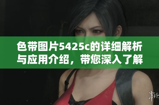 色带图片5425c的详细解析与应用介绍，带您深入了解色带的各种特点
