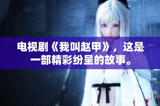 电视剧《我叫赵甲》，这是一部精彩纷呈的故事。