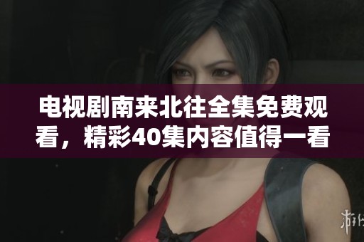 电视剧南来北往全集免费观看，精彩40集内容值得一看！