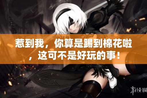 惹到我，你算是踢到棉花啦，这可不是好玩的事！