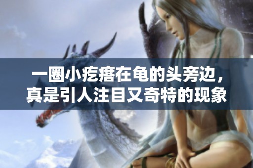 一圈小疙瘩在龟的头旁边，真是引人注目又奇特的现象