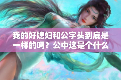 我的好媳妇和公字头到底是一样的吗？公中这是个什么样的说法呢？