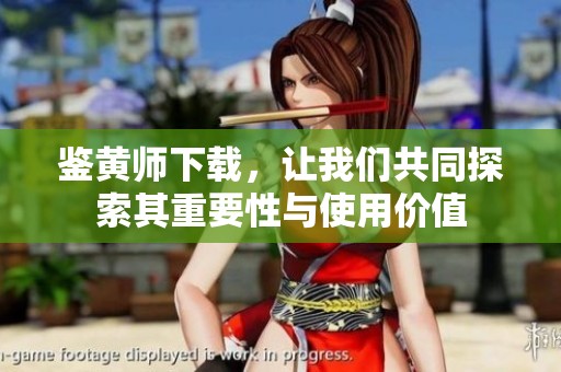 鉴黄师下载，让我们共同探索其重要性与使用价值