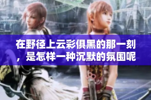 在野径上云彩俱黑的那一刻，是怎样一种沉默的氛围呢