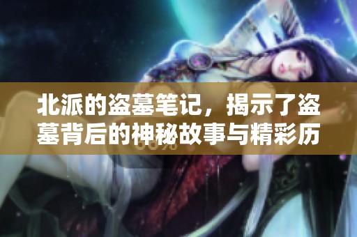 北派的盗墓笔记，揭示了盗墓背后的神秘故事与精彩历险