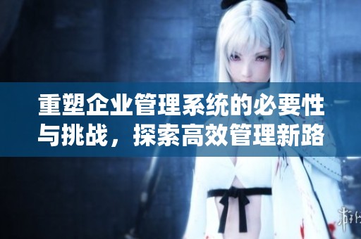 重塑企业管理系统的必要性与挑战，探索高效管理新路径