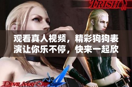 观看真人视频，精彩狗狗表演让你乐不停，快来一起欣赏吧
