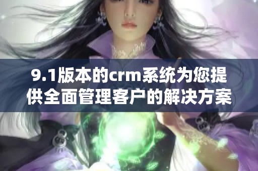 9.1版本的crm系统为您提供全面管理客户的解决方案