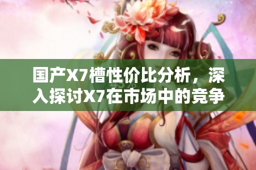 国产X7槽性价比分析，深入探讨X7在市场中的竞争力表现