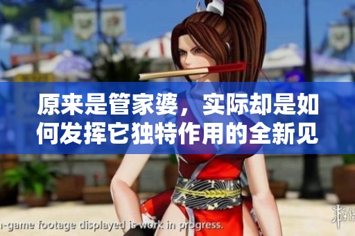 原来是管家婆，实际却是如何发挥它独特作用的全新见解