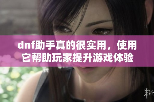 dnf助手真的很实用，使用它帮助玩家提升游戏体验
