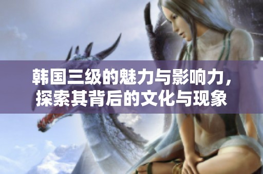 韩国三级的魅力与影响力，探索其背后的文化与现象