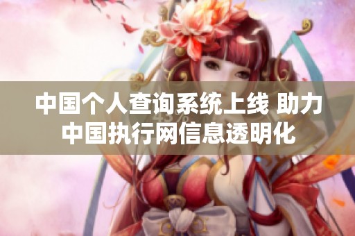 中国个人查询系统上线 助力中国执行网信息透明化