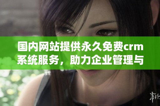 国内网站提供永久免费crm系统服务，助力企业管理与客户维护