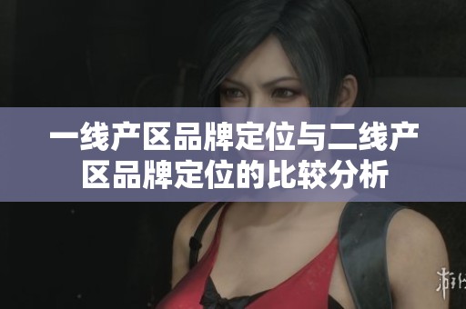 一线产区品牌定位与二线产区品牌定位的比较分析