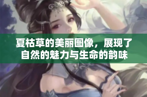 夏枯草的美丽图像，展现了自然的魅力与生命的韵味