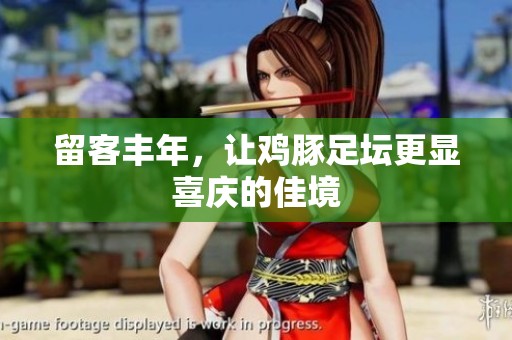 留客丰年，让鸡豚足坛更显喜庆的佳境