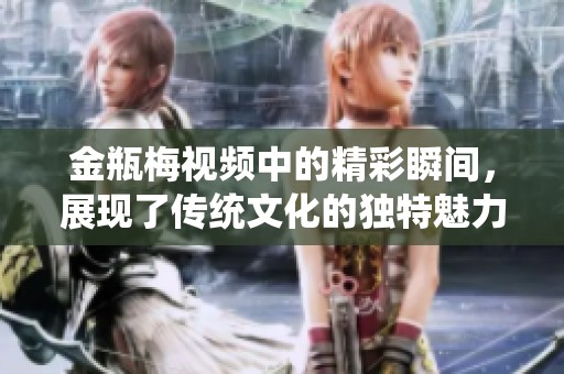 金瓶梅视频中的精彩瞬间，展现了传统文化的独特魅力与情感深度