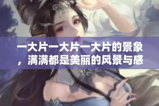 一大片一大片一大片的景象，满满都是美丽的风景与感动