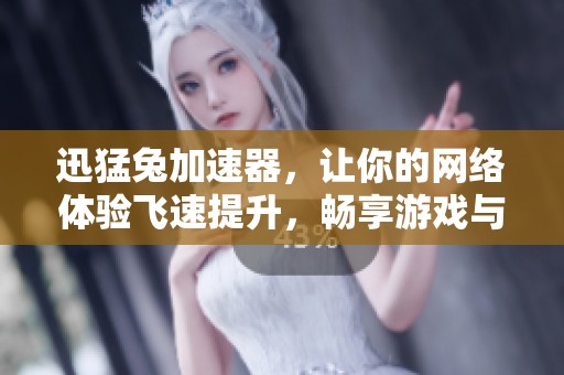 迅猛兔加速器，让你的网络体验飞速提升，畅享游戏与冲浪乐趣