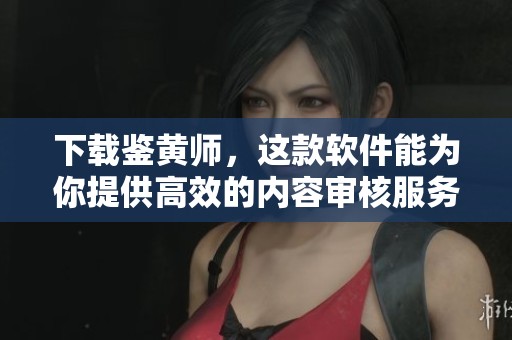 下载鉴黄师，这款软件能为你提供高效的内容审核服务