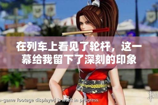 在列车上看见了轮杆，这一幕给我留下了深刻的印象