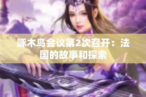 啄木鸟会议第2次召开：法国的故事和探索