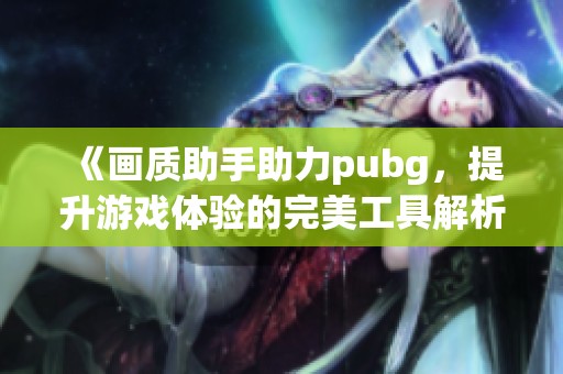 《画质助手助力pubg，提升游戏体验的完美工具解析》
