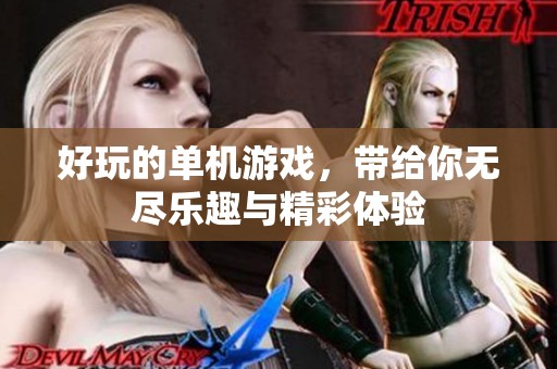 好玩的单机游戏，带给你无尽乐趣与精彩体验
