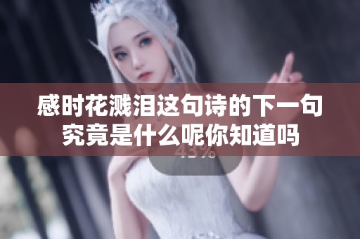 感时花溅泪这句诗的下一句究竟是什么呢你知道吗