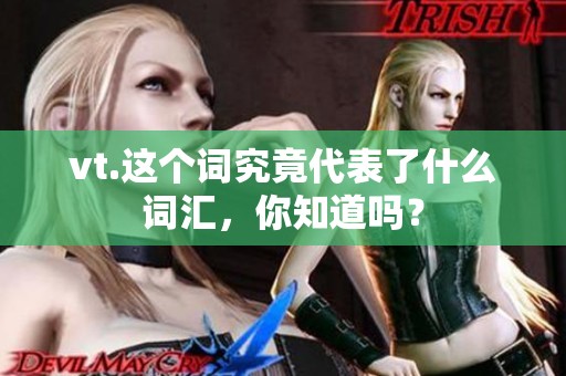 vt.这个词究竟代表了什么词汇，你知道吗？