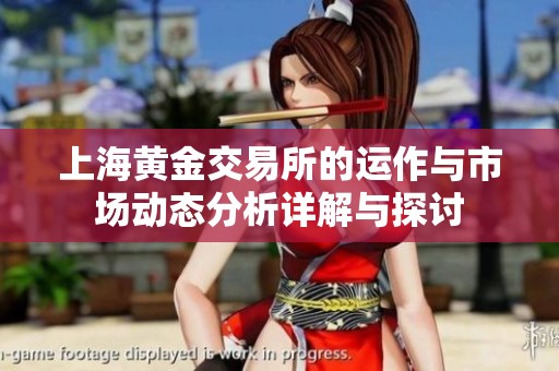 上海黄金交易所的运作与市场动态分析详解与探讨