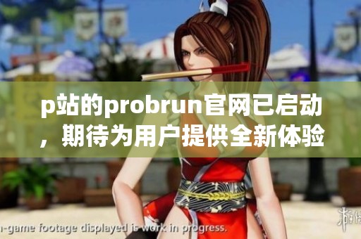 p站的probrun官网已启动，期待为用户提供全新体验与服务