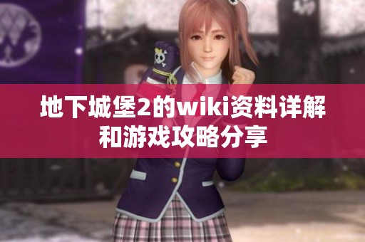 地下城堡2的wiki资料详解和游戏攻略分享