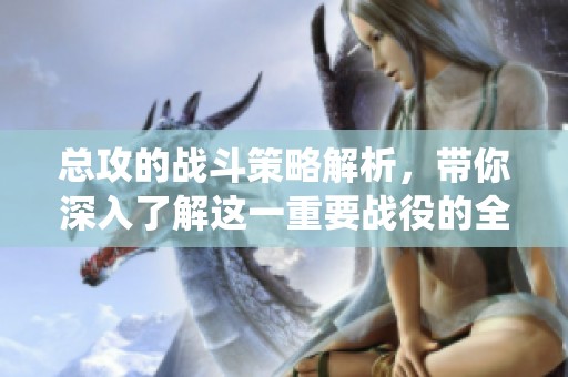 总攻的战斗策略解析，带你深入了解这一重要战役的全貌与意义