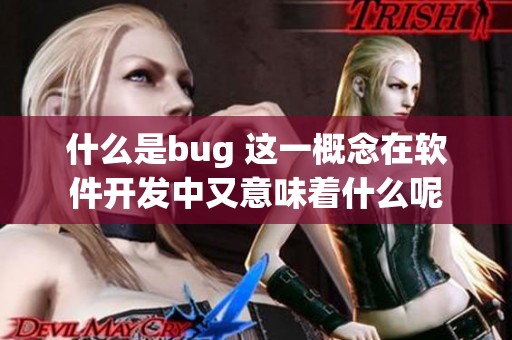 什么是bug 这一概念在软件开发中又意味着什么呢
