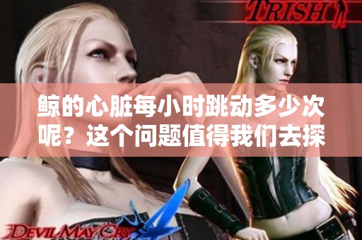 鲸的心脏每小时跳动多少次呢？这个问题值得我们去探讨和了解。