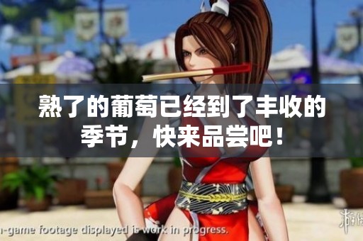 熟了的葡萄已经到了丰收的季节，快来品尝吧！
