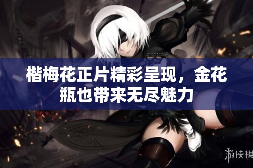 楷梅花正片精彩呈现，金花瓶也带来无尽魅力