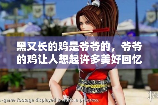 黑又长的鸡是爷爷的，爷爷的鸡让人想起许多美好回忆