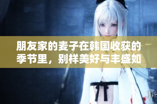 朋友家的麦子在韩国收获的季节里，别样美好与丰盛如斯