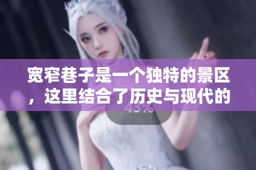 宽窄巷子是一个独特的景区，这里结合了历史与现代的迷人风景
