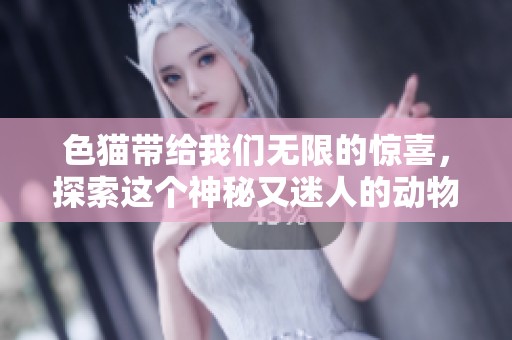 色猫带给我们无限的惊喜，探索这个神秘又迷人的动物世界