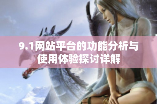 9.1网站平台的功能分析与使用体验探讨详解